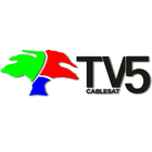 TV5 Cablesat Luque ikon