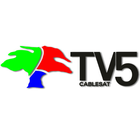 TV5 Cablesat Luque ไอคอน