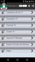 TV Channels Nigeria تصوير الشاشة 3