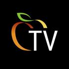 Persik TV icono