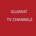 Gujarat TV Channels アイコン