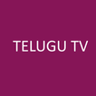 Telugu TV