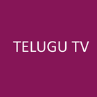 Telugu TV アイコン