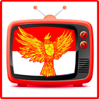 TV Indonesia Free icône
