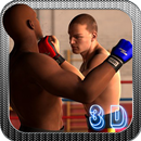 Street Fighting Boxing 3D APK