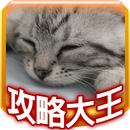 貓咪收集攻略大王-《ねこあつめ》貓咪完整圖鑑 APK