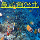 鼻頭角潛水 APK