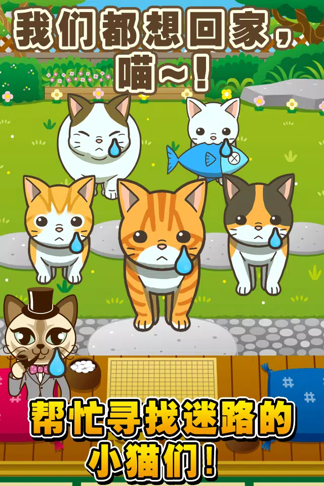 Skachat 寻找小猫 寻找迷路的小猫 Apk Dlya Android Skachat 寻找小猫 寻找迷路的小猫 Apk Dlya Android