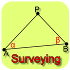 Surveying-icoon