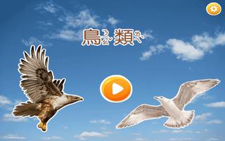 認識鳥類 Poster