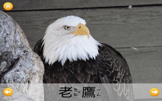 認識鳥類 تصوير الشاشة 1