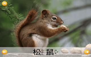 認識可愛動物 imagem de tela 1