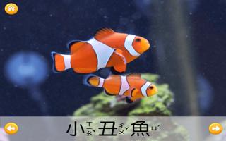 認識水中動物 capture d'écran 3