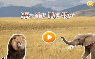 認識野生動物 पोस्टर