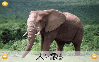 認識野生動物 Ekran Görüntüsü 1