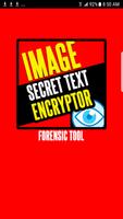 Image Text Encryptor (Hide messages in images) Affiche