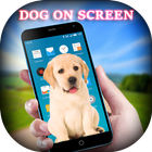 Dog on Screen - Dog in Phone Funny Joke icon