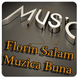 Florin Salam Muzica si Versuri icône