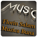 Florin Salam Muzica si Versuri APK