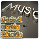 Sorinel Pustiu Muzica&Versuri APK