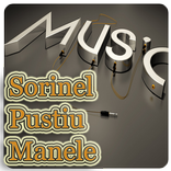 Sorinel Pustiu Muzica&Versuri