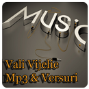 Vali Vijelie Mp3 & Versuri APK