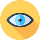 Netra - Now see with your phone! APK