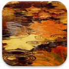 Autumn Live Wallpaper آئیکن