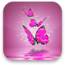 Mariposa Fondos de Pantalla APK