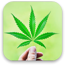 3d maconha papel de parede APK