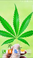 3D Marijuana Live Wallpaper poster