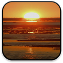 Pôr do Sol Papel de Parede APK