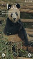 Panda Live Wallpaper اسکرین شاٹ 2