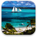 APK Paradise Live Wallpaper