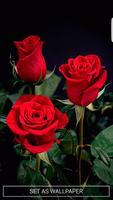 Rose Live Wallpaper স্ক্রিনশট 1