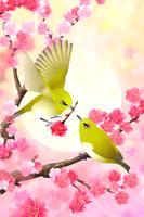 Plum-Blossom and White-Eye Tri penulis hantaran