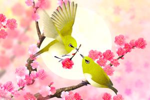 Plum-Blossom and White-Eye Tri syot layar 1