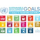 Sustainable Development Goals ícone