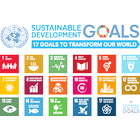 Sustainable Development Goals 아이콘