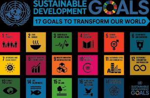 Sustainable Development Goals 포스터