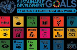 Sustainable Development Goals capture d'écran 1