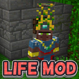 Life Mod PE