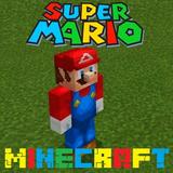 Mario Craft Add-on icône