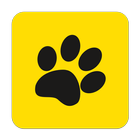 Cat Taxi icon