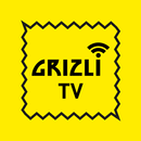 Grizli TV - ТВ онлайн смартфон APK