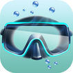 Dive Number