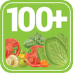100+ Vegetarian Recipes