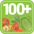 100+ Vegetarian Recipes آئیکن