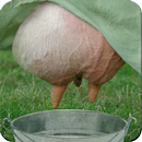 Milker APK