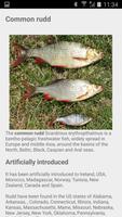 Fishes of Ukraine Lite 스크린샷 3